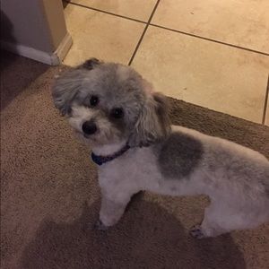 Meet your Posher, Gloria